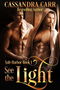 Enlarge image Cover: See the Light (Safe Harbor book 1) - Safe Harbor