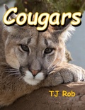 Cover: Cougars (Discovering The World Around Us) - Discovering The World Around Us