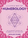 Cover: Little Bit of Numerology, A - Sterling Ethos