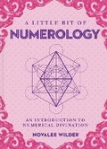 Cover: Little Bit of Numerology, A - Sterling Ethos
