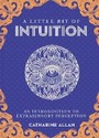 Cover: Little Bit of Intuition, A - Sterling