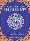 Cover: Little Bit of Intuition, A - Sterling
