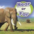 Cover: Near or Far - Raintree