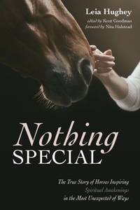 Enlarge image Cover: Nothing Special - Wipf & Stock Publishers