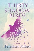 Cover: Thirty Shadow Birds - Inanna Publications and Education Inc.