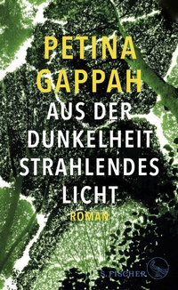 Abbildung von: Aus der Dunkelheit strahlendes Licht - S. Fischer