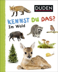 Abbildung von: Duden 12+: Kennst du das? Im Wald - Fischer Sauerländer Duden