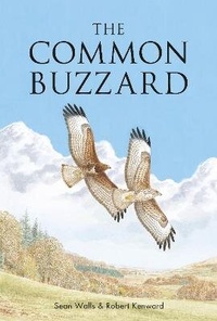 Enlarge image Cover: The Common Buzzard - T & AD Poyser