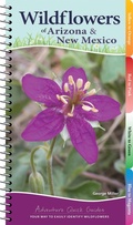 Cover: Wildflowers of Arizona & New Mexico - Adventure Publications, Incorporated