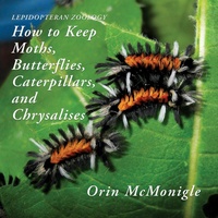 Abbildung von: Lepidopteran Zoology - Coachwhip Publications