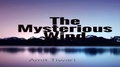 Cover: The Mysterious Wind - Amit Tiwari