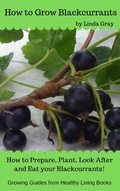 Cover: How to Grow Blackcurrants (Growing Guides) - Growing Guides