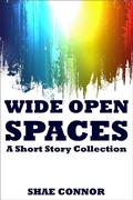 Cover: Wide Open Spaces - Shae Connor