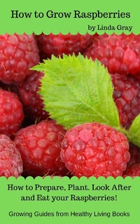 Enlarge image Cover: How to Grow Raspberries (Growing Guides) - Growing Guides