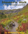 Cover: Shaman's Walk - Matthew Martin