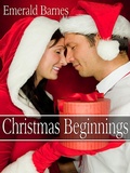 Cover: Christmas Beginnings - Emerald Barnes