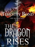 Cover: The Dragon Rises (The Triadine Saga, #2) - myOstrich Press
