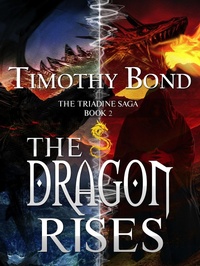 Enlarge image Cover: The Dragon Rises (The Triadine Saga, #2) - myOstrich Press