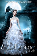 Cover: The Spellbound Box Set: 8 Fantasy stories including Vampires, Werewolves, Steam Punk, Magic, Romance, Blood Feuds, Alphas, Medieval Queens, Celtic Myths, Time Travel, and More! - Dark Shadows Publishing