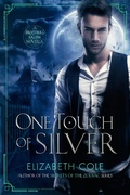 Cover: One Touch of Silver (The Brothers Salem) - Skyspark Books