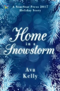 Cover: Home in a Snowstorm - NineStar Press, LLC