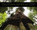 Cover: Das Wissen der B&auml;ume 2020 - Heel