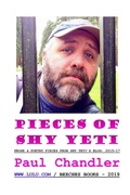 Cover: PIECES OF SHY YETI - Lulu.com