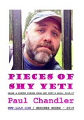 Cover: PIECES OF SHY YETI - Lulu.com