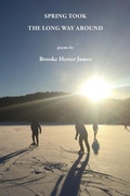 Cover: Spring Took the Long Way Around - Antrim House Books