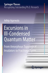 Abbildung von: Excursions in Ill-Condensed Quantum Matter - Springer