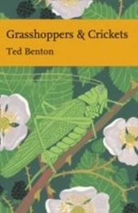 Abbildung von: Grasshoppers and Crickets - Collins