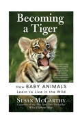 Cover: Becoming A Tiger: How Baby Animals Learn To Live In The Wild - HarperPerennial