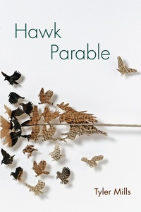 Enlarge image Cover: Hawk Parable - The University Of Akron Press