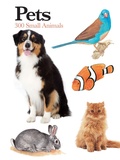 Cover: Pets - Amber Books