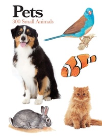 Enlarge image Cover: Pets - Amber Books