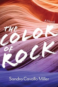 Abbildung von: The Color of Rock - University of Nevada Press