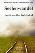 Cover: Seelenwandel - Books on Demand