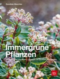 Cover: Immergr&uuml;ne Pflanzen - BLV