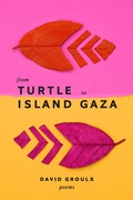 Cover: From Turtle Island to Gaza - AU Press
