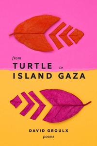 Enlarge image Cover: From Turtle Island to Gaza - AU Press