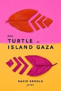 Enlarge image Cover: From Turtle Island to Gaza - AU Press