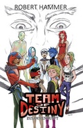 Cover: Team of Destiny - Other Norms