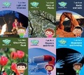 Cover: Science Bug International Year 3 Topic Book Pack - Pearson Education Limited