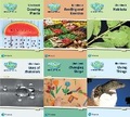 Cover: Science Bug International Year 2 Workbook Pack - Pearson Education Limited