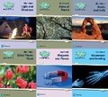 Cover: Science Bug International Year 3 Workbook Pack - Pearson Education Limited