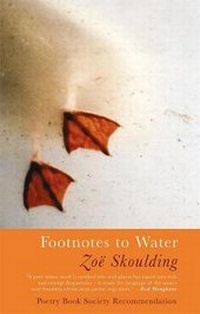 Enlarge image Cover: Footnotes to Water - Seren