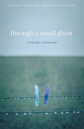 Cover: Through a Small Ghost - Cokesbury