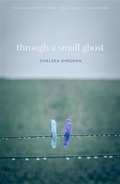 Cover: Through a Small Ghost - University of Georgia Press