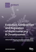 Cover: Evolution, Composition and Regulation of Supernumerary B Chromosomes - MDPI