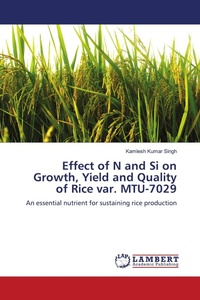 Enlarge image Cover: Effect of N and Si on Growth, Yield and Quality of Rice var. MTU-7029 - LAP Lambert Academic Publishing